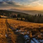 畅享樱花影视在线观看,尽览精彩影视作品 b8qu5