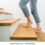 畅享杨晨晨在线观看:精彩内容尽在掌握 c8cqkz