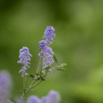 网曝黑料:揭露娱乐圈不为人知的秘密与丑闻 l2e43