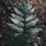 畅享日漫漫画在线阅读,尽情探索精彩故事世界 oeze0w