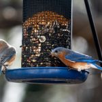 畅享欧乐影视:免费观看最新热门电视剧的最佳选择 q343g8