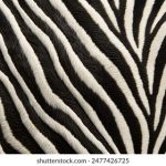 畅享日本电影在线看网站,探索精彩影像世界 y95lu87